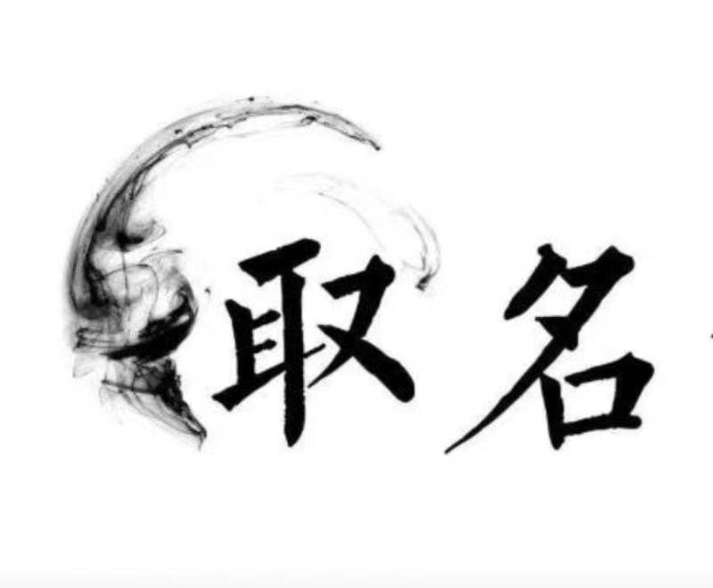  洛扎宝宝取名 大师一对一人工起名